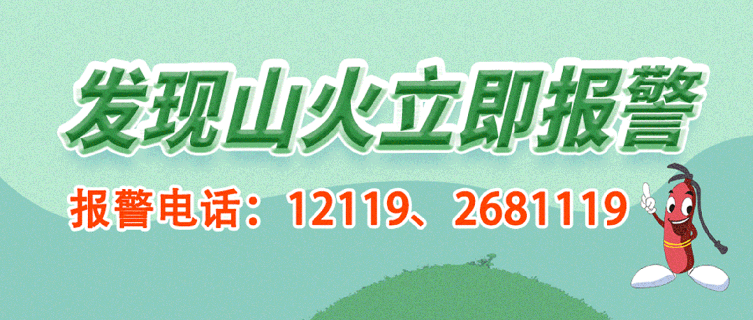 少儿篮球基本功训练计划表_0